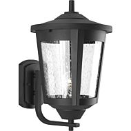 East Haven 1-Light Wall Lantern in Black