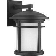 Wish 1-Light Wall Lantern in Black