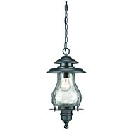 Blue Ridge 1-Light Matte Black Hanging Light