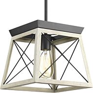 Briarwood 1-Light Pendant in Graphite