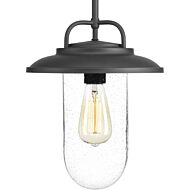 Beaufort 1-Light Hanging Lantern in Black