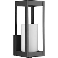 Patewood 1-Light Wall Lantern in Black