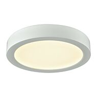 LED Flush Mount