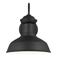 Fredricksburg 1-Light Outdoor Wall Lantern in Black