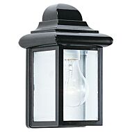 Mullberry Hill 1-Light Outdoor Wall Lantern in Black