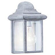 Mullberry Hill 1-Light Outdoor Wall Lantern in Pewter