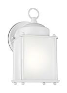 New Castle 1-Light Outdoor Wall Lantern in White