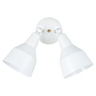 Sea Gull 2 Light 22 Inch Flood Light in White