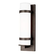 Alban 1-Light Outdoor Wall Lantern in Antique Bronze