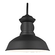 Fredricksburg 1-Light Outdoor Wall Lantern in Black