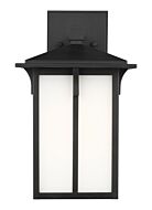 Tomek 1-Light Outdoor Wall Lantern in Black