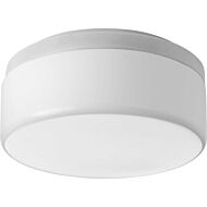 Maier Dc LED 1-Light LED Flush Mount in White