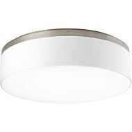 Maier Dc LED 1-Light LED Flush Mount in Brushed Nickel