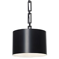 Brian Patrick Flynn for Crystorama Alston 12 Inch Pendant in Matte Black