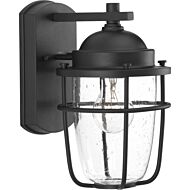 Holcombe 1-Light Wall Lantern in Black