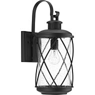 Hollingsworth 1-Light Wall Lantern in Black