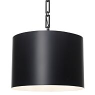 Brian Patrick Flynn for Crystorama Alston 20 Inch Chandelier in Matte Black