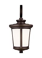 Eddington 1-Light Outdoor Wall Lantern in Antique Bronze