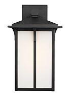 Tomek 1-Light Outdoor Wall Lantern in Black