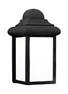 Mullberry Hill 1-Light Outdoor Wall Lantern in Black