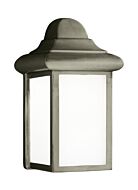 Mullberry Hill 1-Light Outdoor Wall Lantern in Pewter