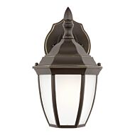 Bakersville 1-Light Outdoor Wall Lantern in Antique Bronze