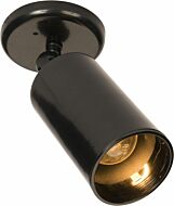 Spots One Light Flush Mount in Black by Maxim