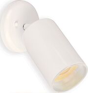 Spots One Light Flush Mount in White by Maxim