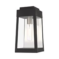 Oslo 1-Light Outdoor Wall Lantern in Black w with Brushed Nickels and Polished Chrome Stainless Steel