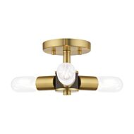 Copenhagen 3-Light Ceiling Mount in Satin Brass w with Bronzes