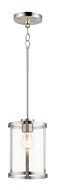 Sentinel 1-Light Pendant in Satin Nickel