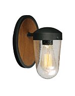 Lido 1-Light Outdoor Wall Lantern in Antique Pecan with Black