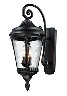 Sentry 3-Light Outdoor Wall Lantern in Black