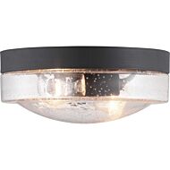 Weldon 2-Light Flush Mount in Black