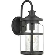 Haslett 1-Light Wall Lantern in Black