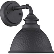 Englewood 1-Light Wall Lantern in Black