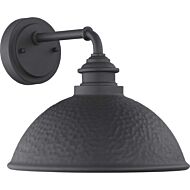 Englewood 1-Light Wall Lantern in Black