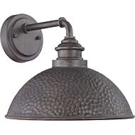 Englewood 1-Light Wall Lantern in Antique Pewter