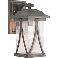 Abbott 1-Light Wall Lantern in Antique Pewter