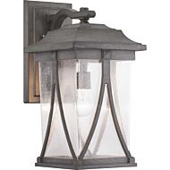 Abbott 1-Light Wall Lantern in Antique Pewter