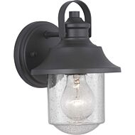 Weldon 1-Light Wall Lantern in Black