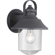 Weldon 1-Light Wall Lantern in Black