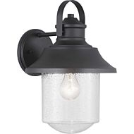 Weldon 1-Light Wall Lantern in Black