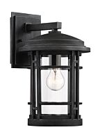 Barrister 1-Light Wall Lantern in Weathered Pewter