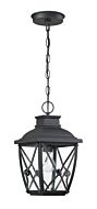 Belmont 1-Light Hanging Lantern in Black