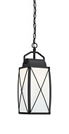 Fairlington 1-Light Hanging Lantern in Black