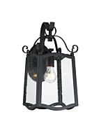 Glenwood 1-Light Wall Lantern in Black