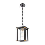 Vincentown 1-Light Outdoor Pendant in Matte Black