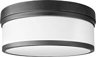 Three Light Ceiling Mount by Quorum