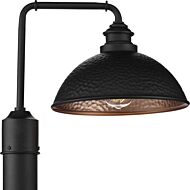 Englewood 1-Light Post Lantern in Black